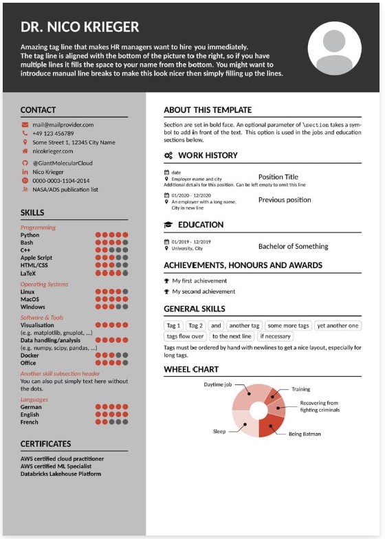 Template CV Template Moderne 2