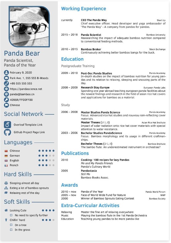Template CV Template Moderne 3