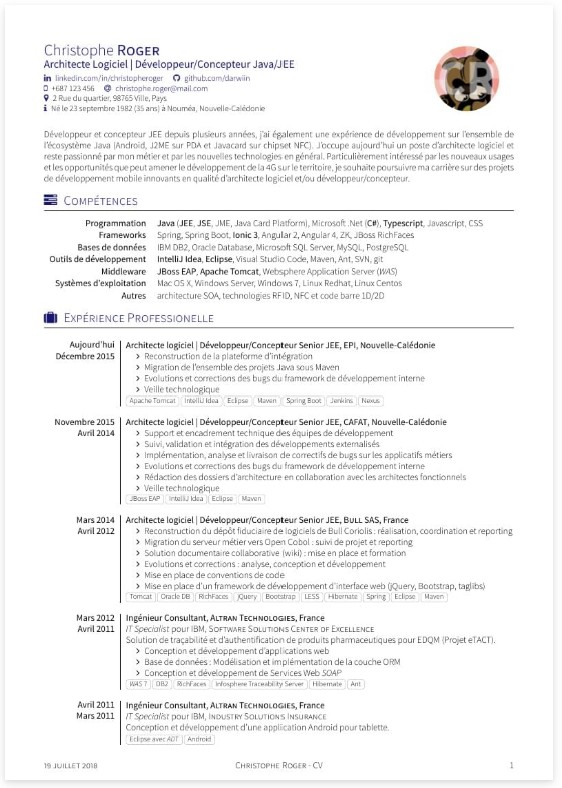 Template CV Template Moderne 4