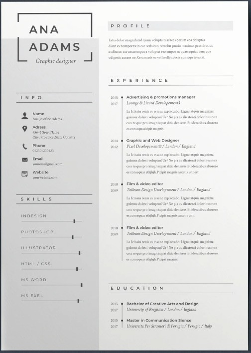 Template CV Template Professionnel 15