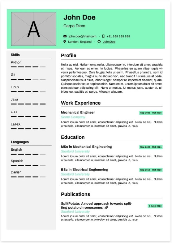 Template CV Template Simple 12
